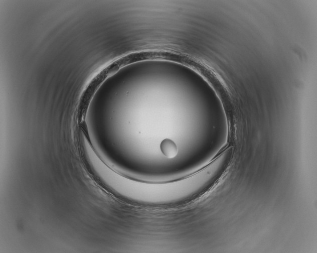 X0000111591069200907161449