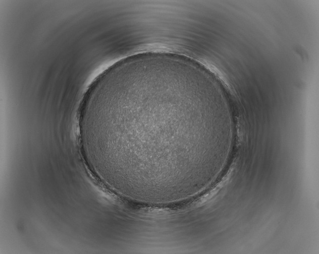 X0000111591070200907161449