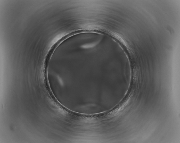 X0000111591071200907161449