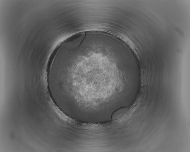 X0000111591072200907161449