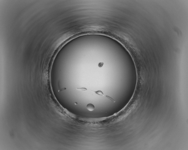 X0000111591073200907161449