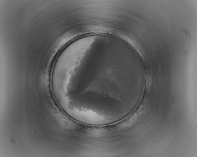 X0000111591074200907161449