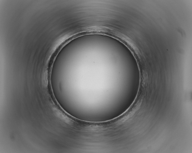 X0000111591075200907161449