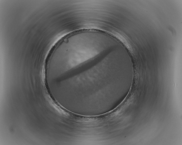 X0000111591076200907161449