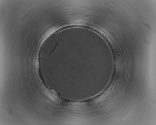 X0000111591077200907161449