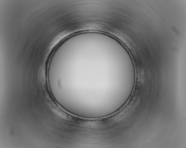 X0000111591078200907161449