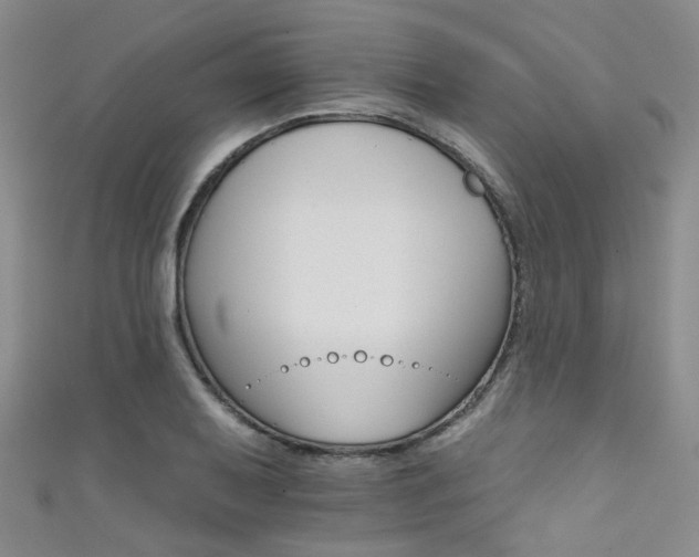 X0000111591079200907161449