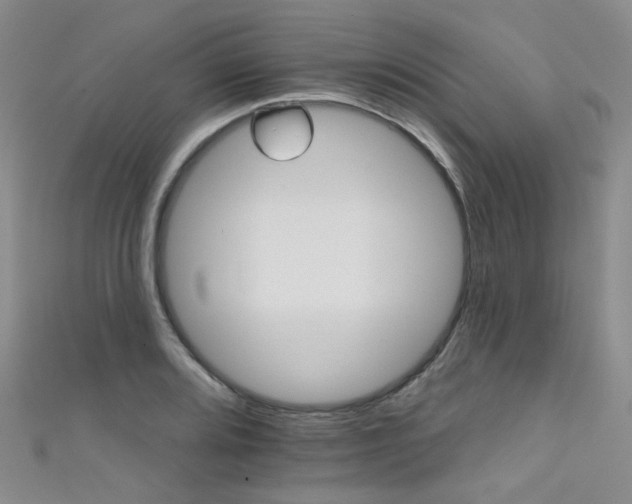 X0000111591080200907161449