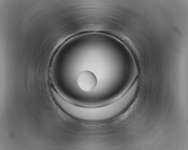 X0000111591081200907161449