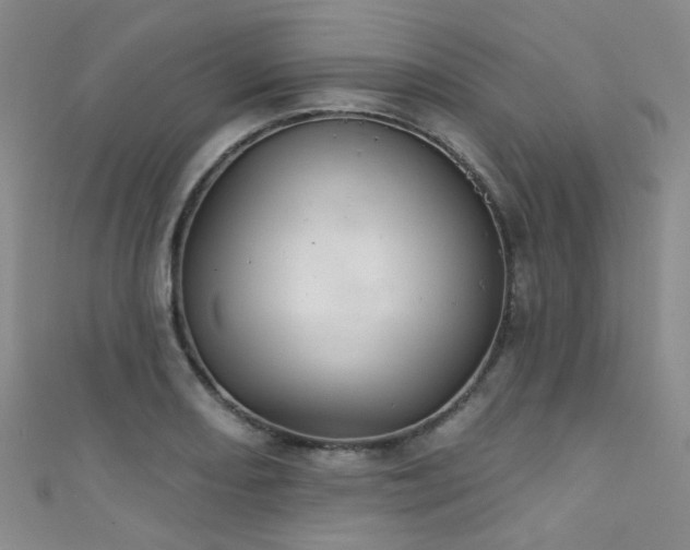 X0000111591082200907161449