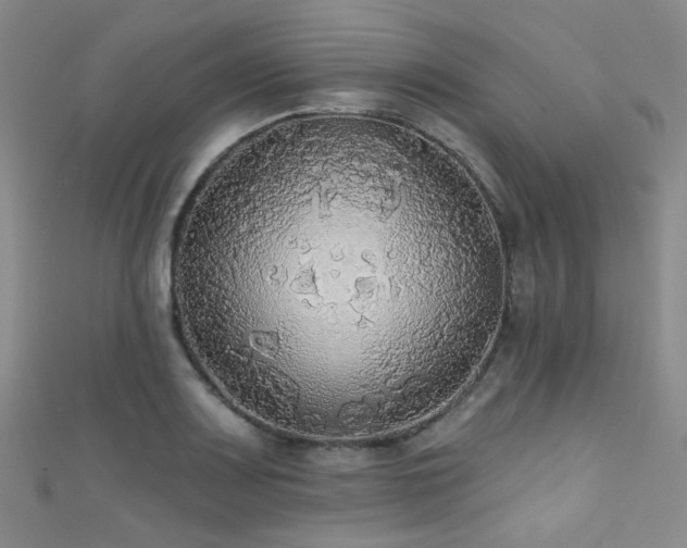 X0000111591083200907161449