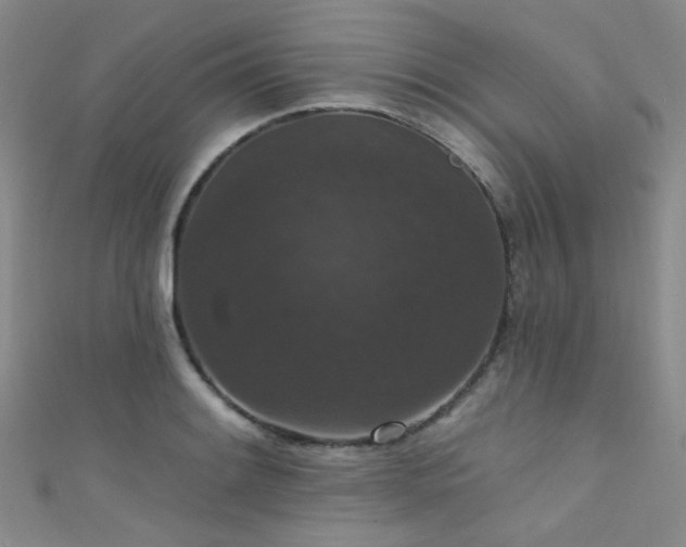 X0000111591084200907161449