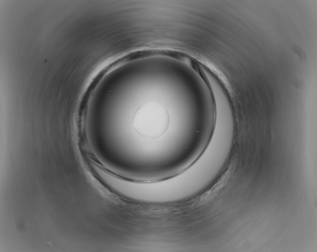 X0000111591085200907161449