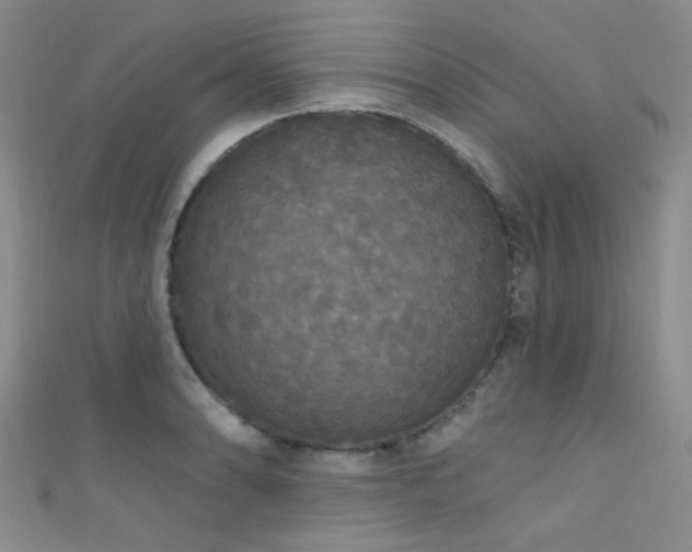 X0000111591086200907161449