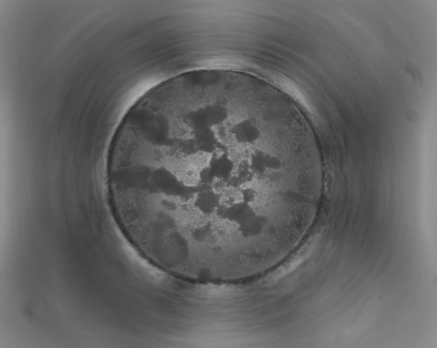 X0000111591087200907161448