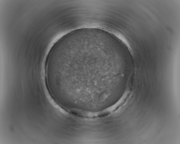 X0000111591088200907161448