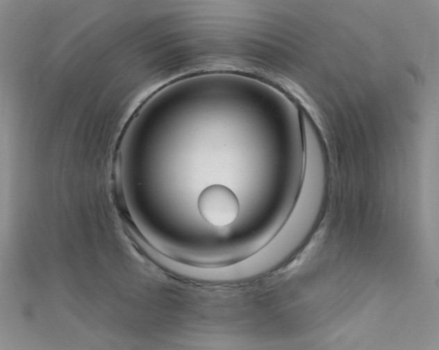 X0000111591089200907161448