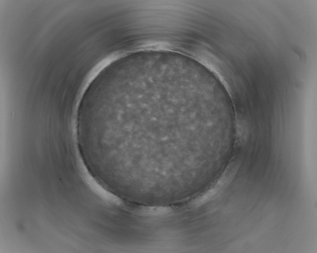 X0000111591090200907161448