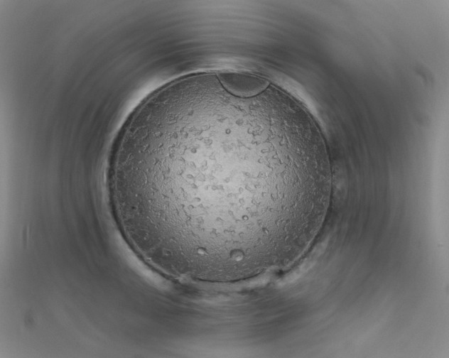 X0000111591091200907161448