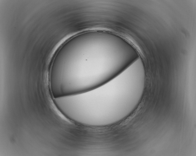 X0000111591092200907161448