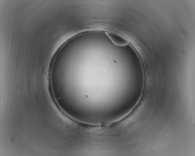 X0000111591093200907161448