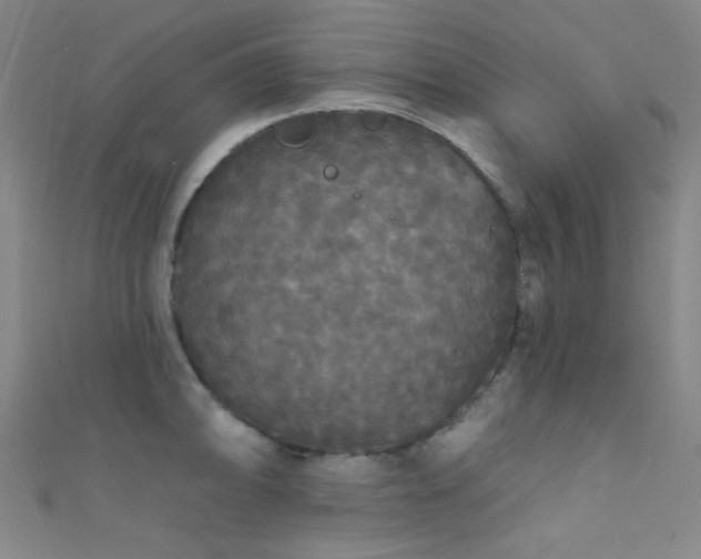 X0000111591094200907161448