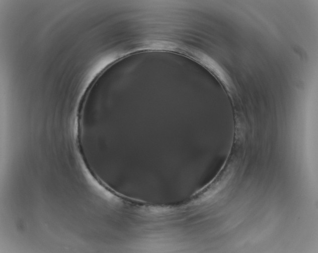 X0000111591095200907161448