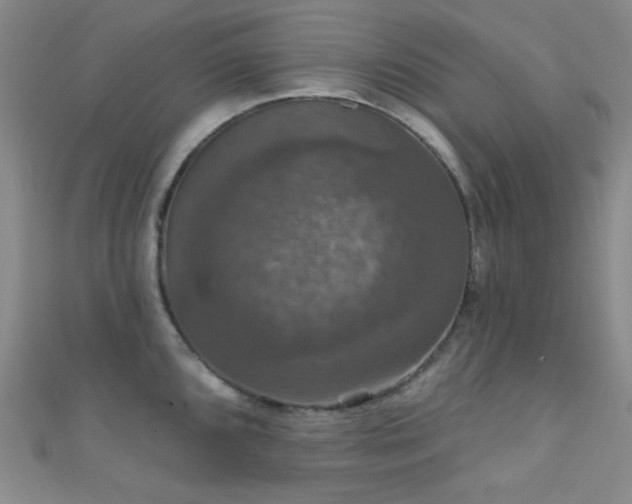 X0000111591096200907161448