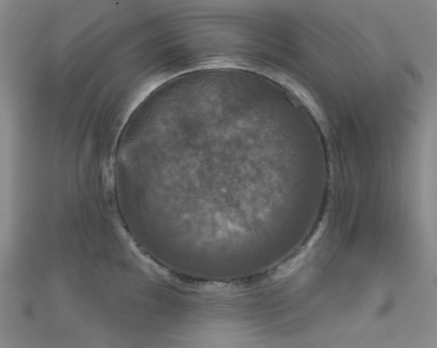 X0000111591097200907161448