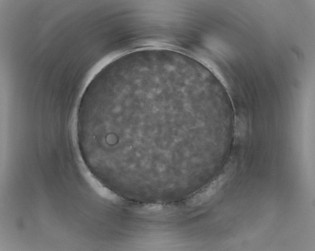 X0000111591098200907161448