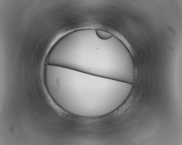 X0000111591099200907161448