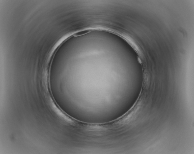 X0000111591100200907161448