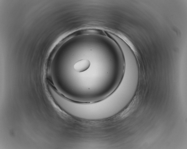 X0000111591101200907161448