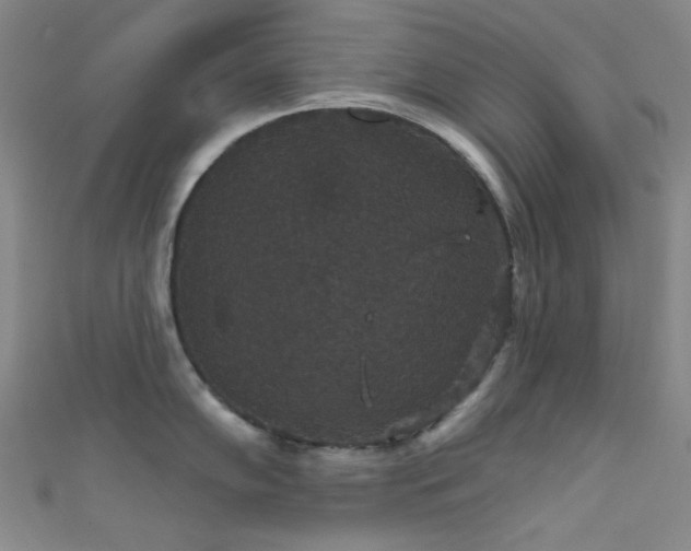 X0000111591102200907161448