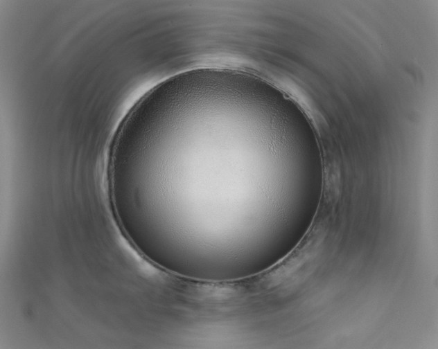 X0000111591103200907161448