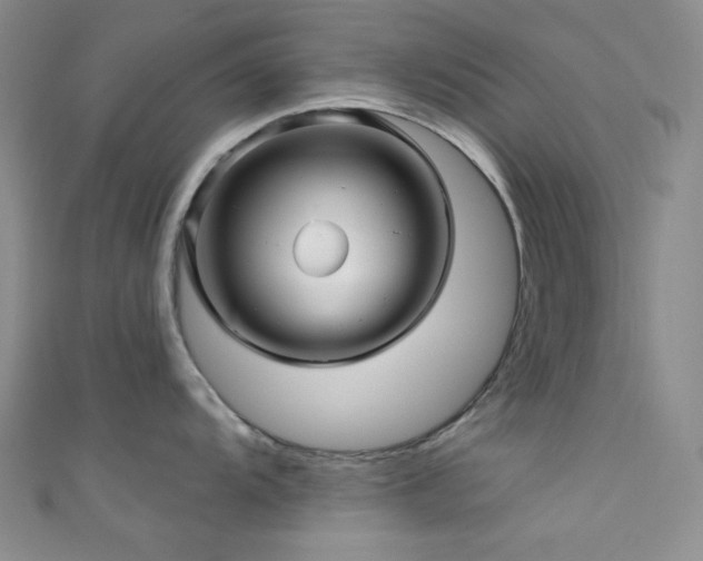 X0000111591104200907161448