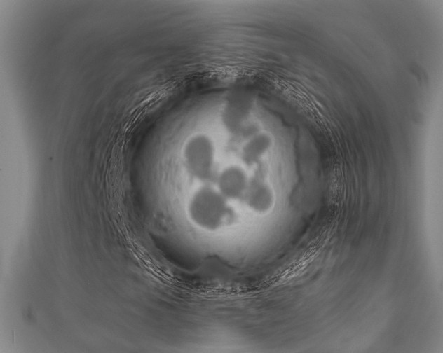 X0000111591105200907161447