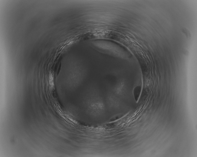 X0000111591106200907161448