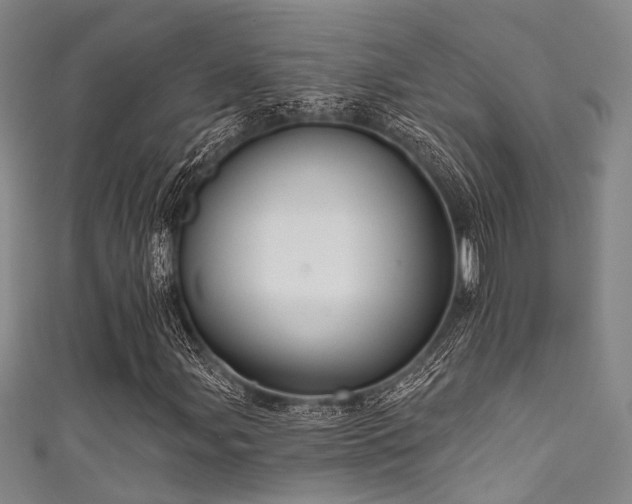 X0000111591107200907161448