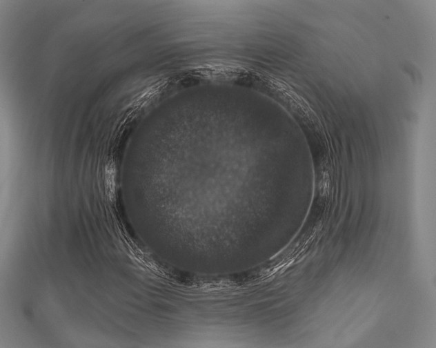 X0000111591108200907161448