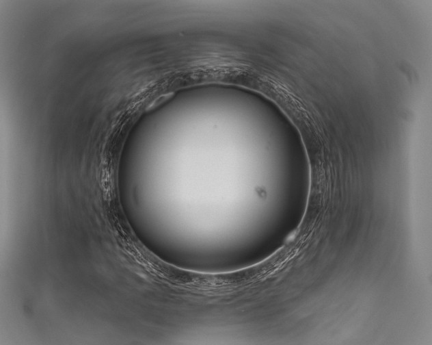 X0000111591109200907161448