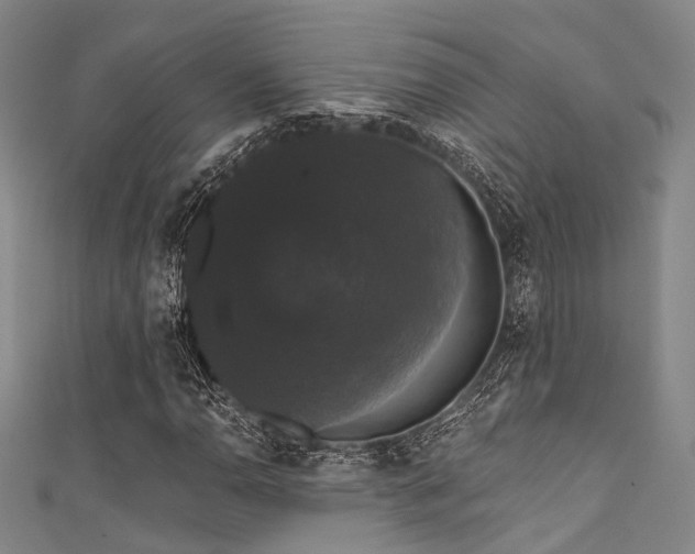 X0000111591110200907161448