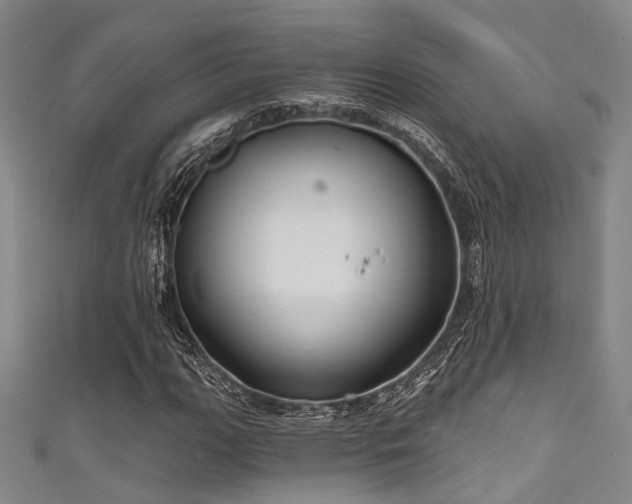 X0000111591111200907161448