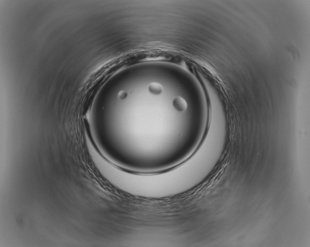 X0000111591112200907161448