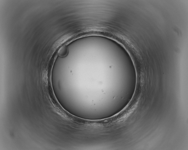 X0000111591113200907161448