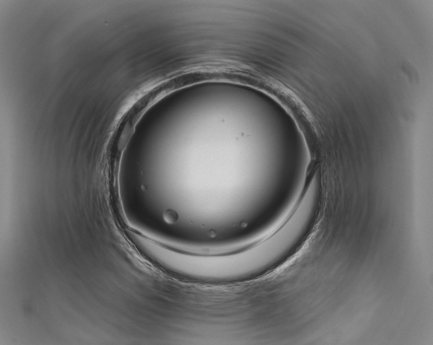 X0000111591114200907161448