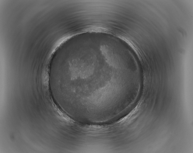 X0000111591115200907161448