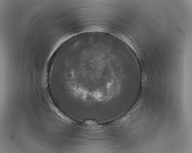 X0000111591116200907161448