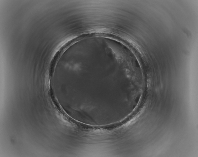 X0000111591117200907161448