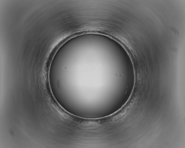 X0000111591119200907161448